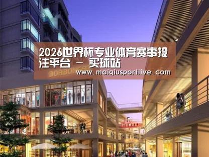 案例展示一(图1)