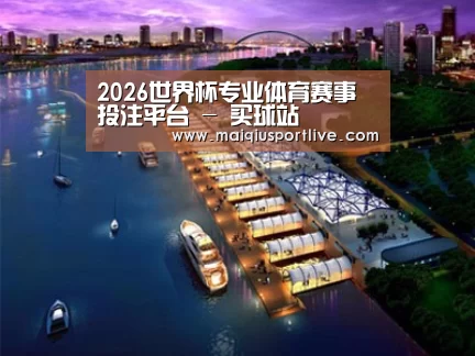 案例展示八
