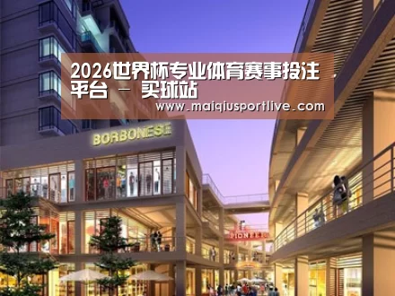 案例展示一