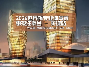 案例展示三