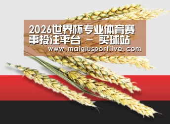 2026世界杯专业体育赛事投注平台 - 买球站