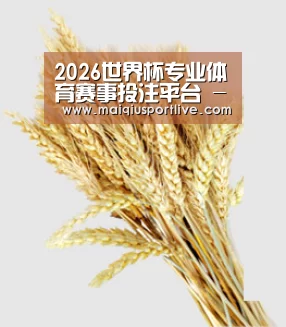2026世界杯专业体育赛事投注平台 - 买球站