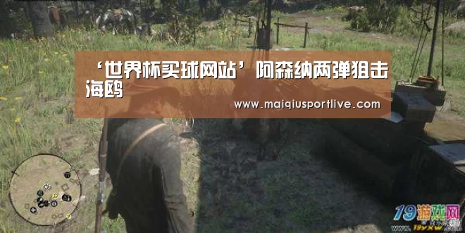 ‘世界杯买球网站’阿森纳两弹狙击海鸥(图1) 世界杯买球网站