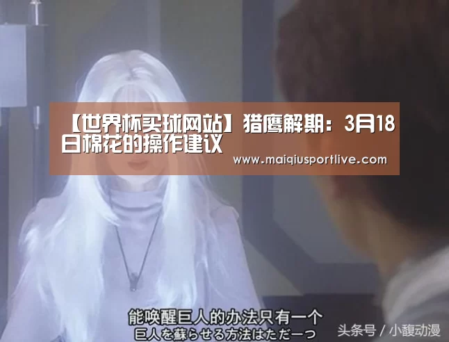 【世界杯买球网站】猎鹰解期:3月18日棉花的操作建议(图4) 世界杯买球