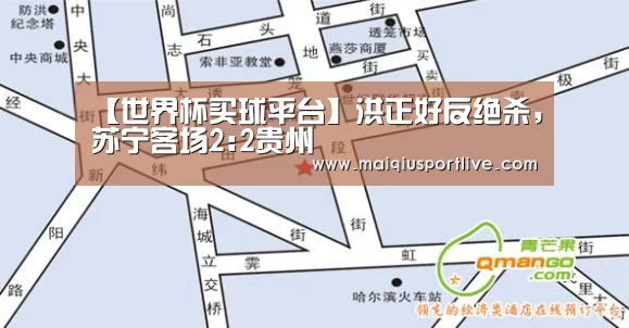 【世界杯买球平台】洪正好反绝杀,苏宁客场2:2贵州(图1) 世界杯买球平台