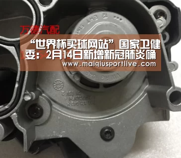 世界杯买球