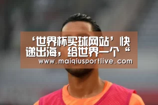 ‘世界杯买球网站’快递出海,给世界一个“加速度”(图3) 世界杯买球官网