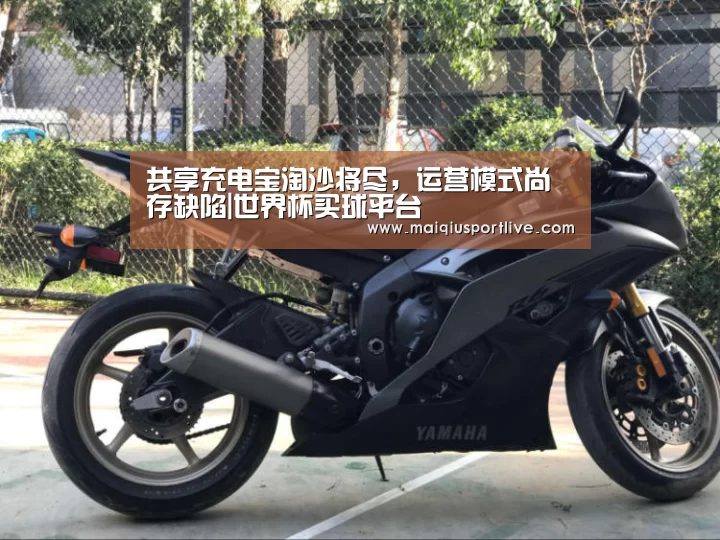 共享充电宝淘沙将尽,运营模式尚存缺陷|世界杯买球平台(图1) 世界杯买球