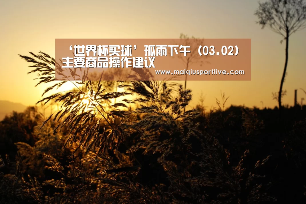 ‘世界杯买球’孤雨下午(03.02)主要商品操作建议(图2) 世界杯买球平台