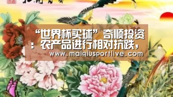 世界杯买球平台