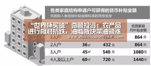 世界杯买球平台