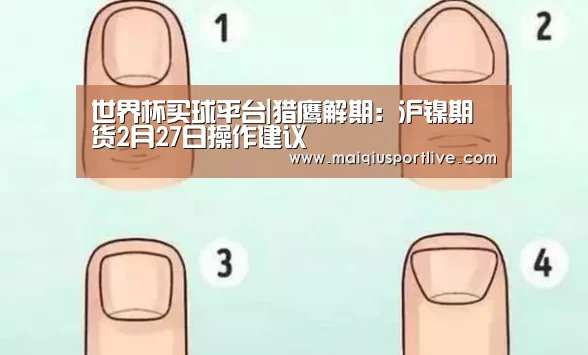 世界杯买球平台|猎鹰解期:沪镍期货2月27日操作建议(图1) 世界杯买球网站