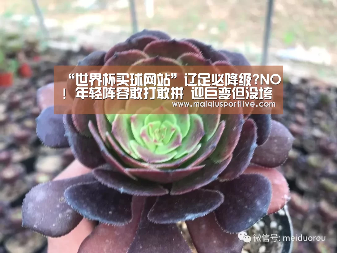 “世界杯买球网站”辽足必降级?NO! 年轻阵容敢打敢拼 迎巨变但没垮(图1) 世界杯买球官网