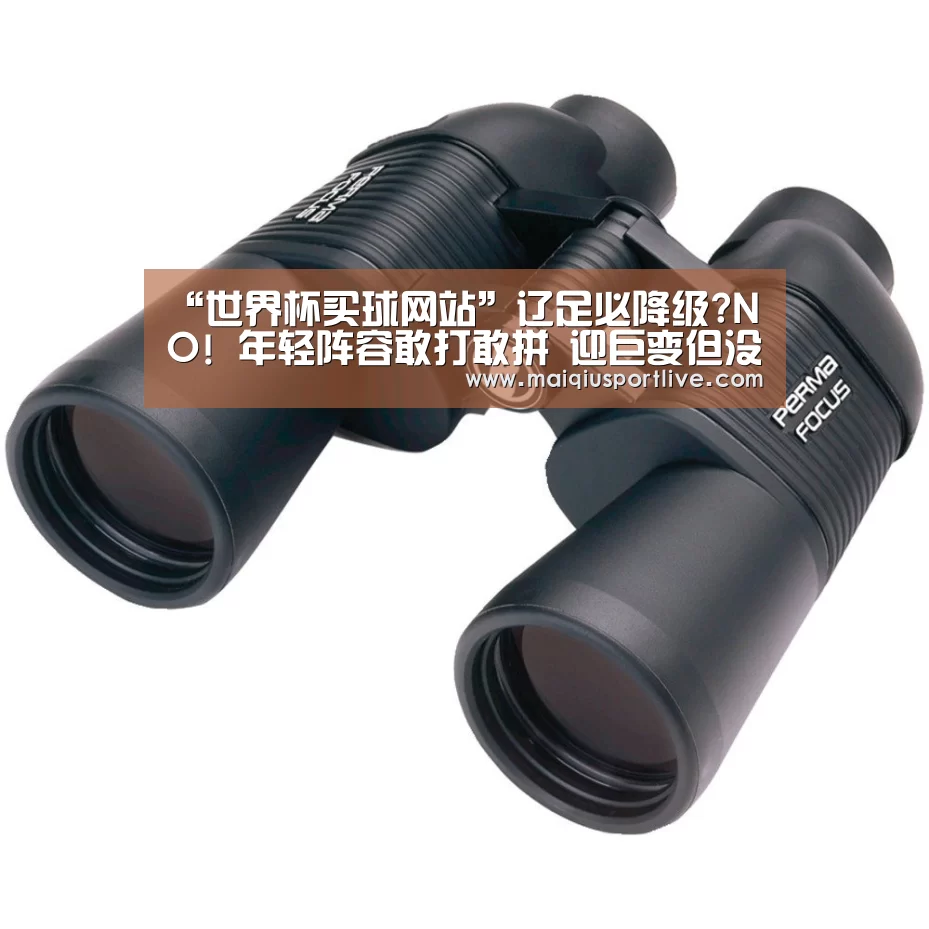 “世界杯买球网站”辽足必降级?NO! 年轻阵容敢打敢拼 迎巨变但没垮(图4) 世界杯买球平台